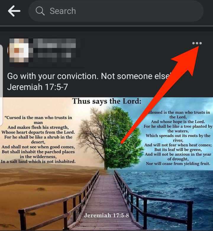 06-how-to-pin-a-post-on-facebook-more - Online Tech Tips How to Pin a Post on a Facebook Profile image 6 - 06-how-to-pin-a-post-on-facebook-more