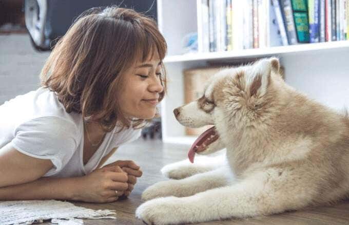 11-best-alternatives-to-amazon-for-online-shopping-pets - Online Tech Tips Best Alternatives to Amazon for Online Shopping image 10 - 11-best-alternatives-to-amazon-for-online-shopping-pets