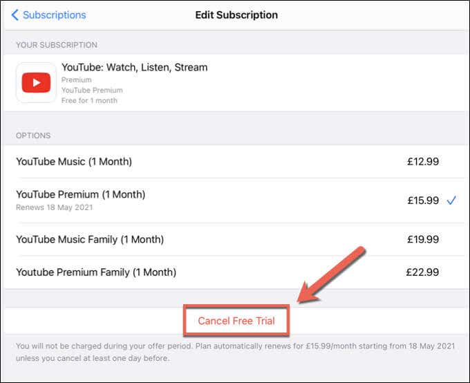 23-iPad-Settings-YT-Premium-Cancel-Option - Online Tech Tips How to Pause or Cancel a YouTube Premium Subscription on Mobile Devices image 13 - 23-iPad-Settings-YT-Premium-Cancel-Option