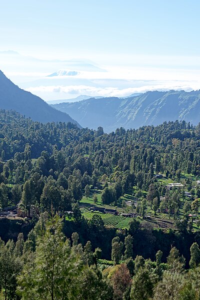 File:Ngadisari, Java, Indonesia, 20220820 0726 9532.jpg