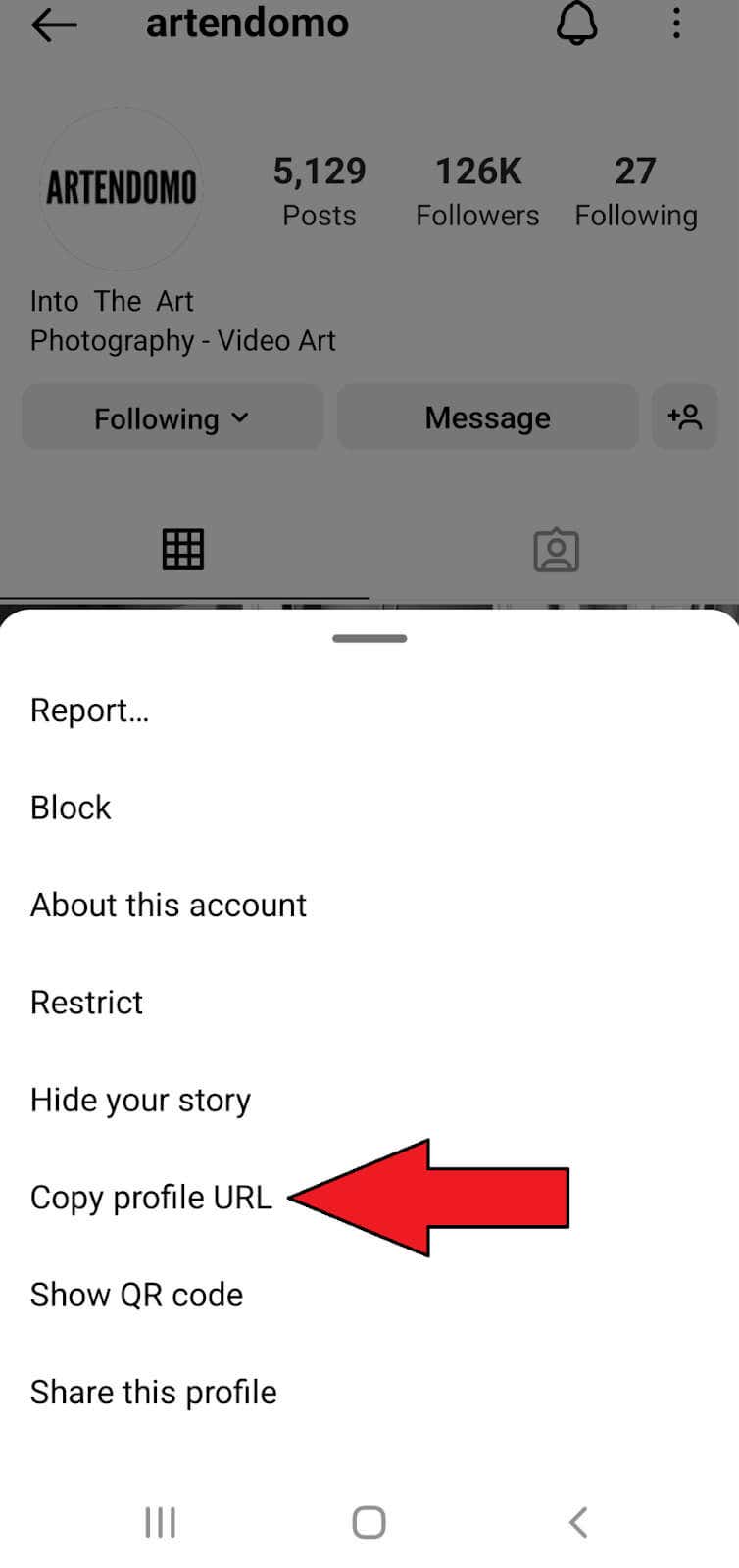 how-to-copy-and-share-an-instagram-profile-link-10-compressed - Online Tech Tips How to Find and Copy Your Instagram Profile Link on Your Android and iPhone image 9 - how-to-copy-and-share-an-instagram-profile-link-10-compressed