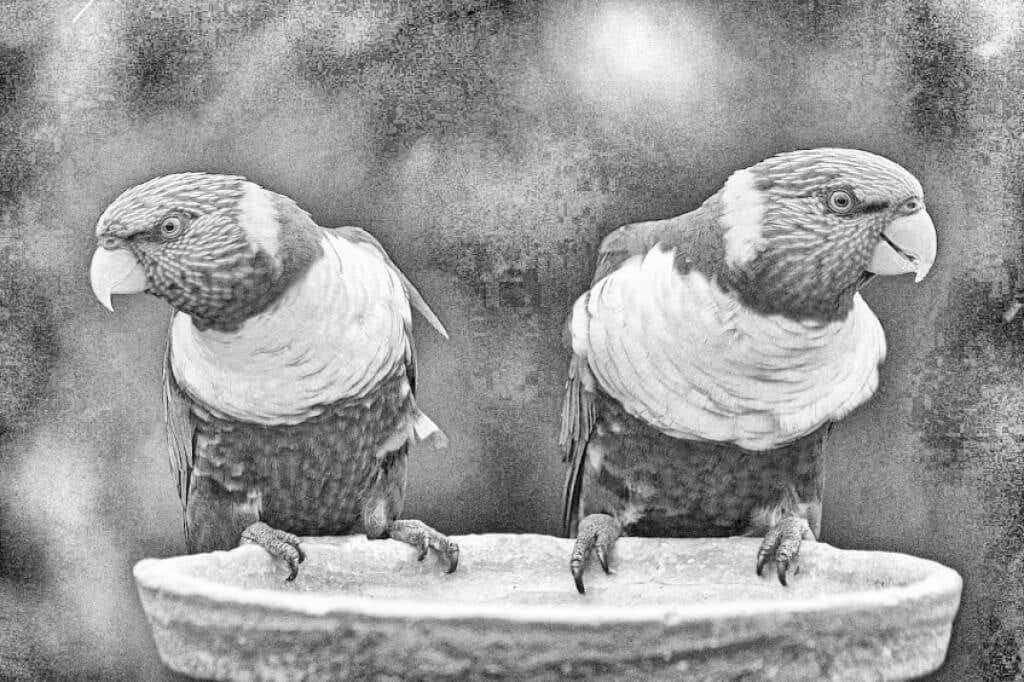 how-to-make-an-image-black-and-white-in-gimp-18-compressed - Online Tech Tips How to Make an Image Grayscale in GIMP image 10 - how-to-make-an-image-black-and-white-in-gimp-18-compressed