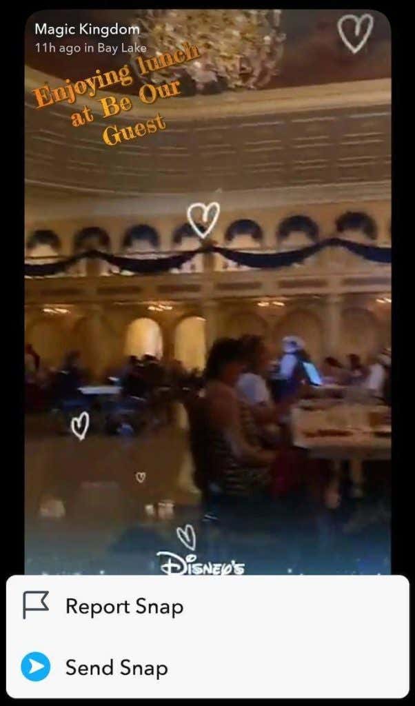 share-snap - Online Tech Tips Other Types of Stories on Snapchat image 2 - share-snap