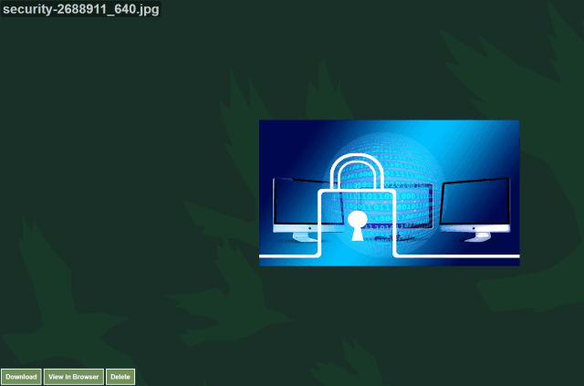 07 - Online Tech Tips RiseUp image - 07