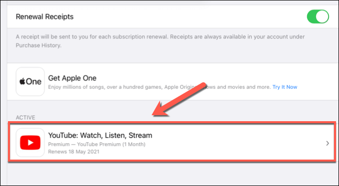 22-iPad-Settings-YT-Premium-Subscription-Option - Online Tech Tips How to Pause or Cancel a YouTube Premium Subscription on Mobile Devices image 12 - 22-iPad-Settings-YT-Premium-Subscription-Option
