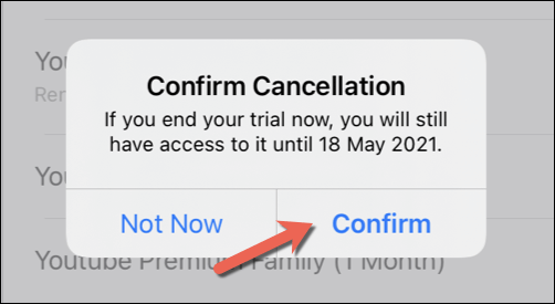 24-iPad-Settings-YT-Premium-Cancel-Confirm - Online Tech Tips How to Pause or Cancel a YouTube Premium Subscription on Mobile Devices image 14 - 24-iPad-Settings-YT-Premium-Cancel-Confirm