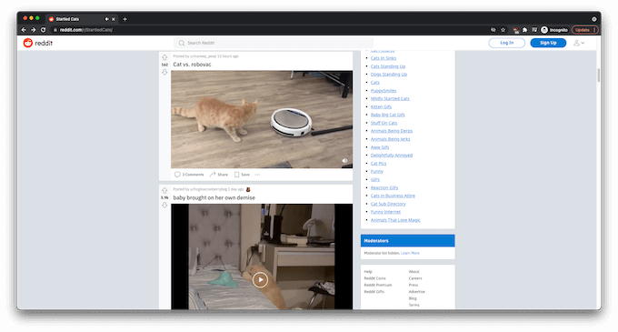 5-Startled-Cats - Online Tech Tips r/StartledCats image - 5-Startled-Cats