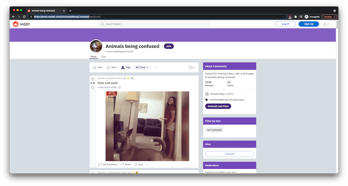 7-Animals-Being-Confused - Online Tech Tips r/AnimalsBeingConfused image - 7-Animals-Being-Confused